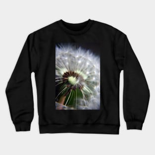 Dandelion Seeds Crewneck Sweatshirt